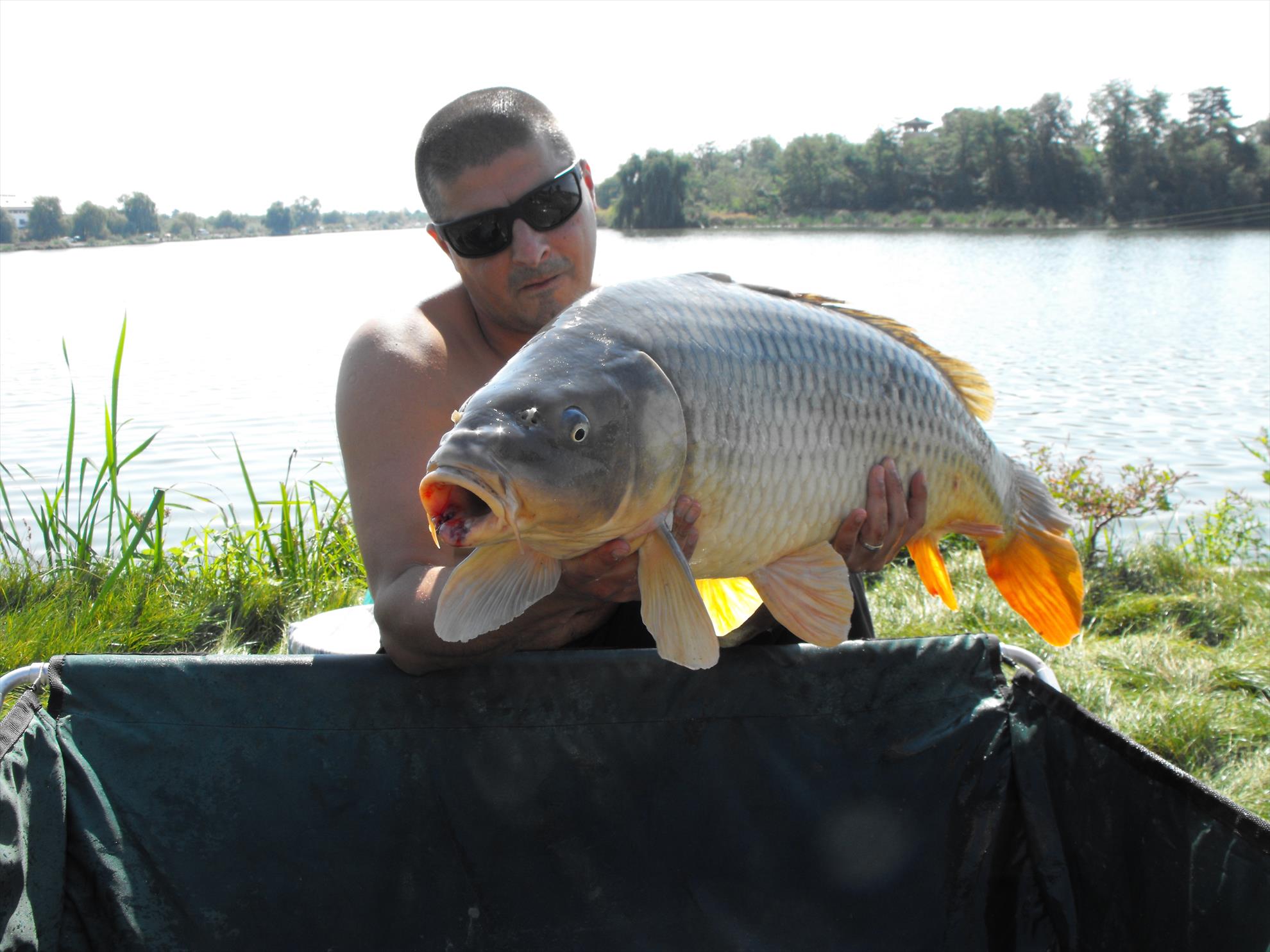 Hermes Peris 19 - 20 septembrie 2014 - dscf1015.JPG